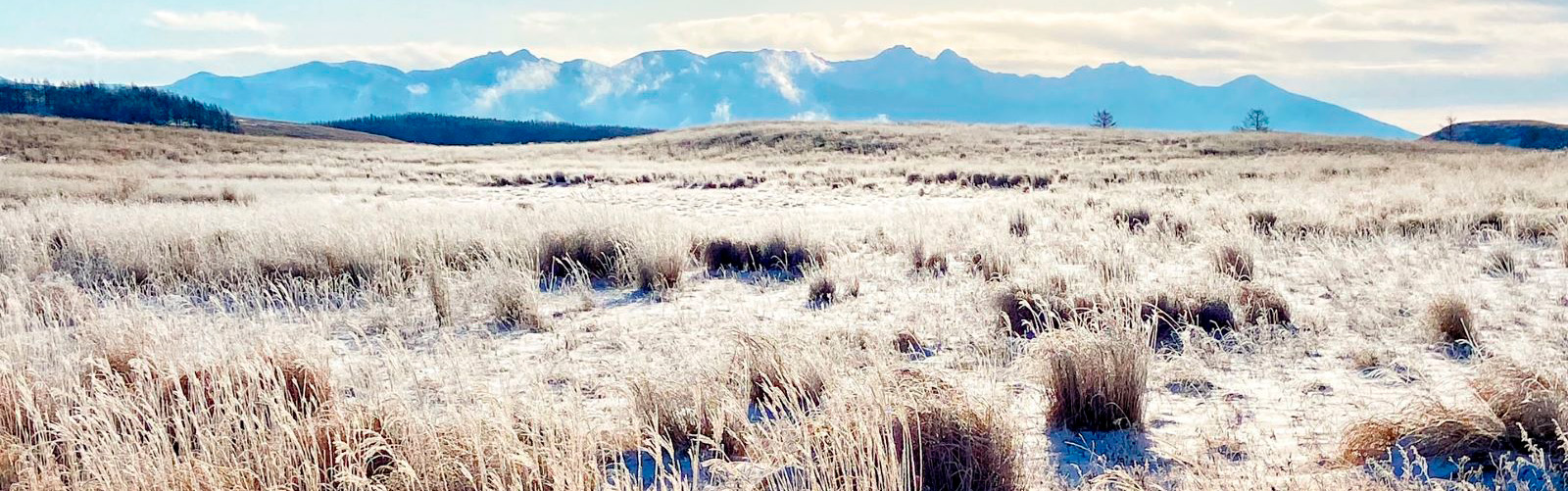 八ヶ岳・富士山の見える別荘地「ビバルデの丘」
