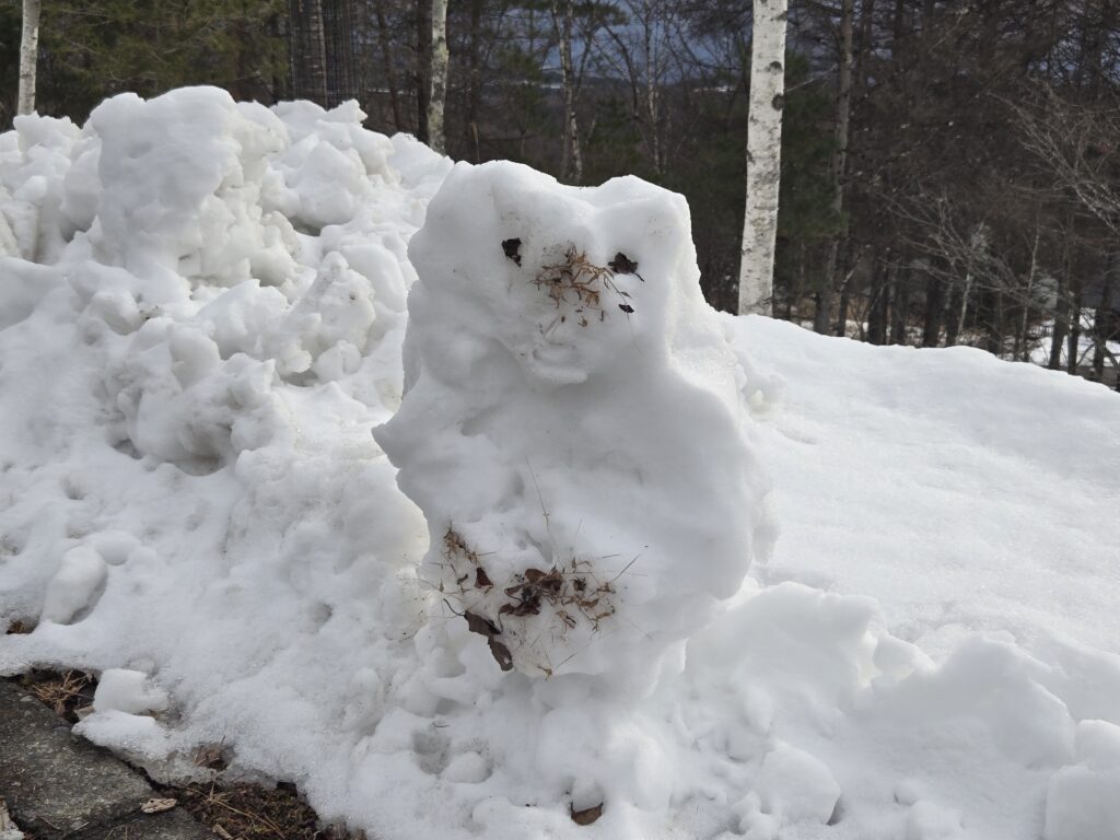 霧ケ峰
雪の塊