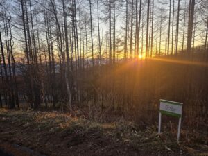 Ｄ-6号地（春の丘）