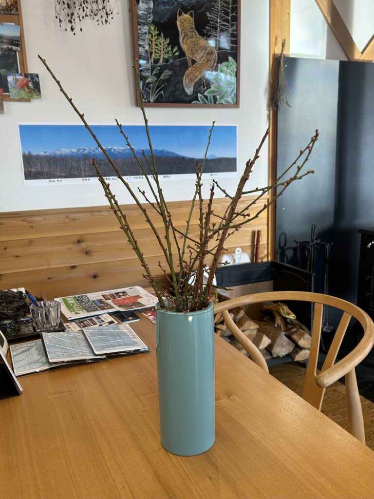 信州諏訪霧ヶ峰高原別荘地 霧ヶ峰 ビバルデの丘 長野県諏訪市 ビーナスライン 別荘 山 森 森林 自然 富士山 八ヶ岳 南アルプス 中央アルプス 眺望 植物