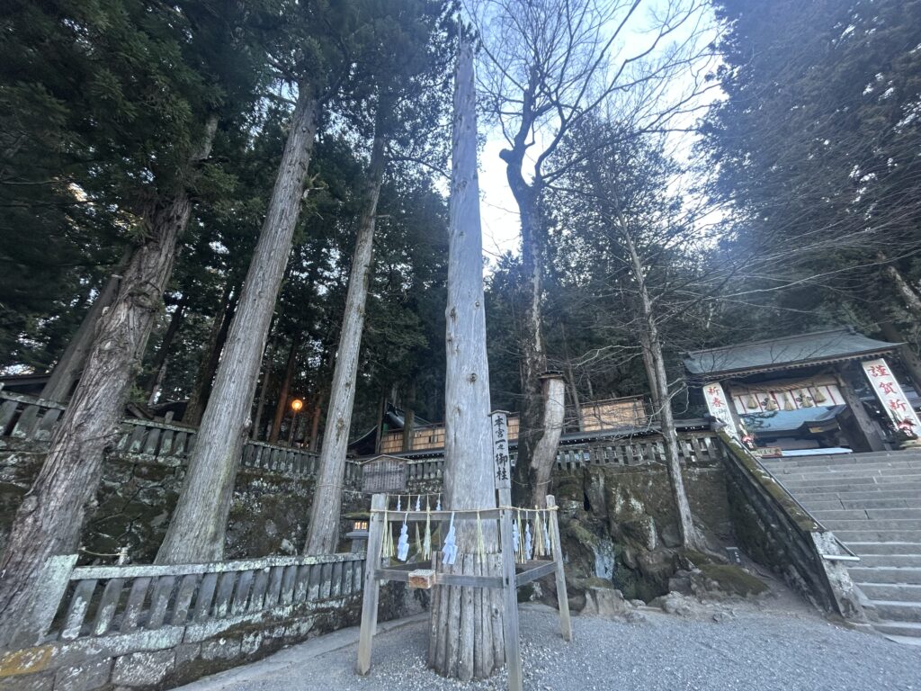 信州諏訪霧ヶ峰高原別荘地 霧ヶ峰 ビバルデの丘 長野県諏訪市 ビーナスライン 別荘 山 森 森林 自然 富士山 八ヶ岳 南アルプス 中央アルプス 眺望 植物 梅 花 春 冬 諏訪大社 上社本宮 御柱一之柱