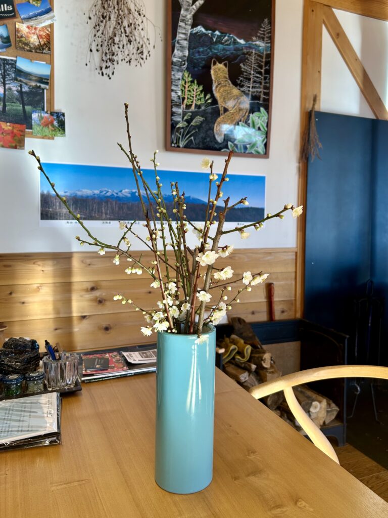 信州諏訪霧ヶ峰高原別荘地 霧ヶ峰 ビバルデの丘 長野県諏訪市 ビーナスライン 別荘 山 森 森林 自然 富士山 八ヶ岳 南アルプス 中央アルプス 眺望 植物 梅 花 春 冬