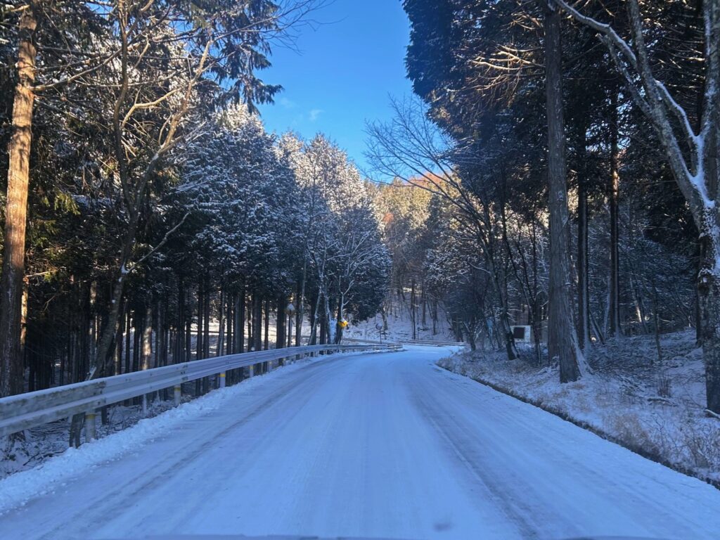 信州諏訪霧ヶ峰高原別荘地 霧ヶ峰 ビバルデの丘 長野県諏訪市 ビーナスライン 別荘 山 森 森林 自然 富士山 八ヶ岳 南アルプス 中央アルプス 眺望 植物 イルミネーション スノーマン 雪だるま 秋 冬 雪 積雪 積雪情報 道路状況 除雪