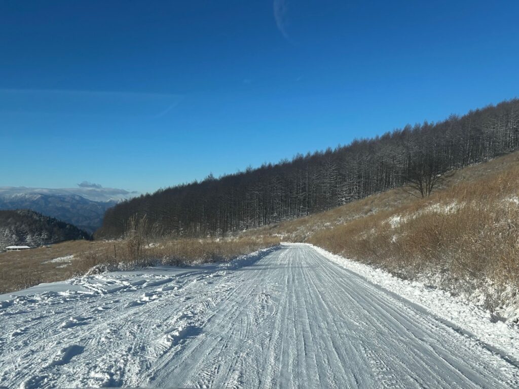 信州諏訪霧ヶ峰高原別荘地 霧ヶ峰 ビバルデの丘 長野県諏訪市 ビーナスライン 別荘 山 森 森林 自然 富士山 八ヶ岳 南アルプス 中央アルプス 眺望 植物 イルミネーション スノーマン 雪だるま 秋 冬 雪 積雪 積雪情報 道路状況 除雪