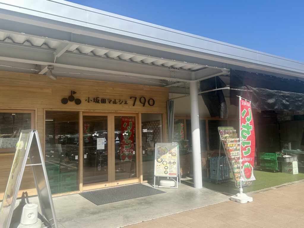 州諏訪霧ヶ峰高原別荘地 霧ヶ峰 ビバルデの丘 長野県諏訪市 ビーナスライン 別荘 山 森 森林 自然 富士山 八ヶ岳 南アルプス 中央アルプス 北アルプス 常念岳奥穂高岳 白馬岳 鹿島槍ケ岳 冬 雪 眺望 植物 山野草 草花 塩尻峠 塩嶺峠 国道20号 小坂田公園 道の駅 小坂田マルシェ 福寿草 フクジュソウ