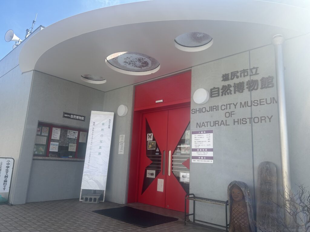 州諏訪霧ヶ峰高原別荘地 霧ヶ峰 ビバルデの丘 長野県諏訪市 ビーナスライン 別荘 山 森 森林 自然 富士山 八ヶ岳 南アルプス 中央アルプス 北アルプス 常念岳奥穂高岳 白馬岳 鹿島槍ケ岳 冬 雪 眺望 植物 山野草 草花 塩尻峠 塩嶺峠 国道20号 小坂田公園 道の駅 小坂田マルシェ 福寿草 フクジュソウ