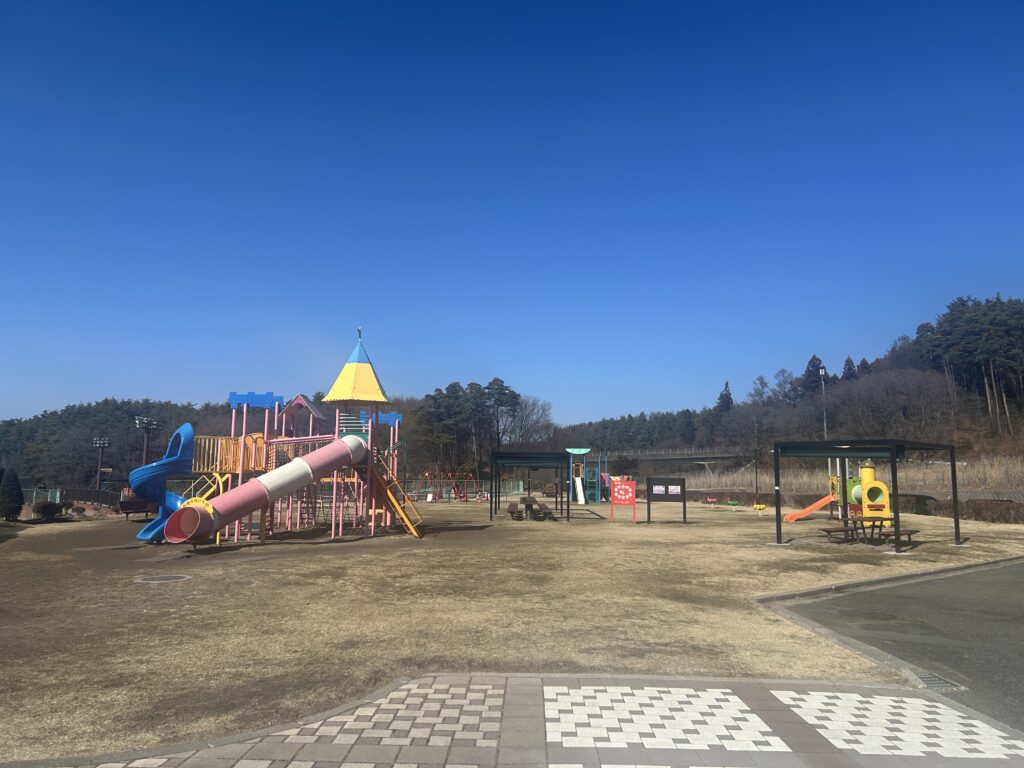 州諏訪霧ヶ峰高原別荘地 霧ヶ峰 ビバルデの丘 長野県諏訪市 ビーナスライン 別荘 山 森 森林 自然 富士山 八ヶ岳 南アルプス 中央アルプス 北アルプス 常念岳奥穂高岳 白馬岳 鹿島槍ケ岳 冬 雪 眺望 植物 山野草 草花 塩尻峠 塩嶺峠 国道20号 小坂田公園 道の駅 小坂田マルシェ 福寿草 フクジュソウ
