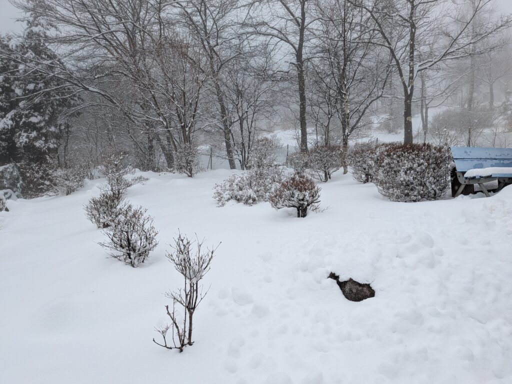 霧ヶ峰積雪
