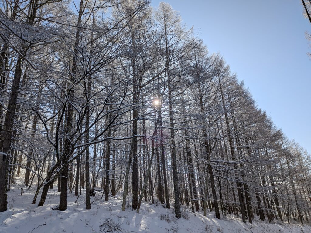 霧ヶ峰別荘　冬
雪景色の別荘