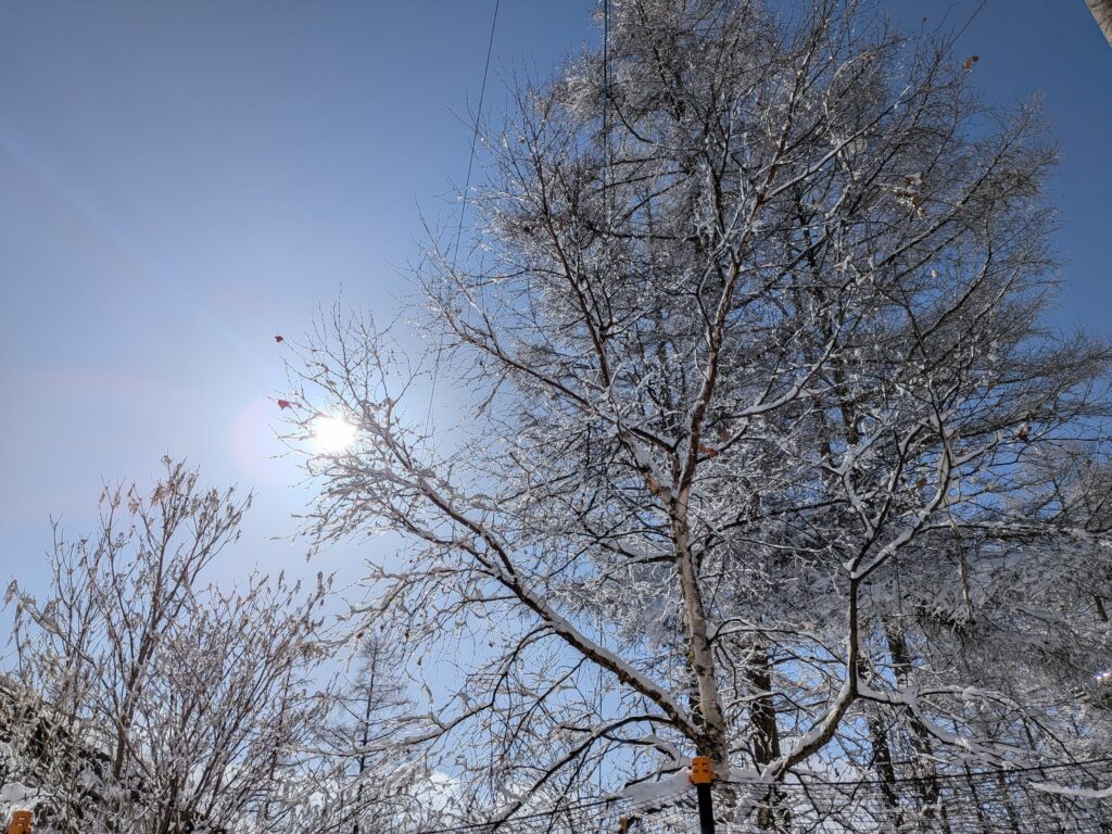 霧ヶ峰別荘　冬
雪景色の別荘
