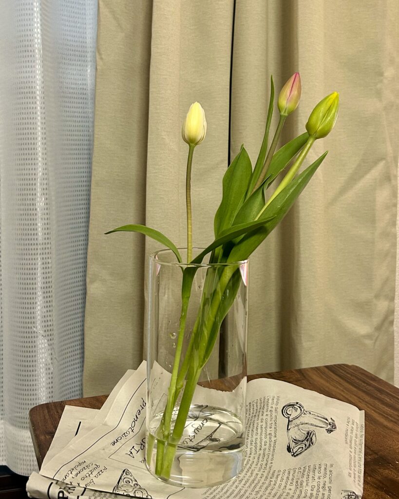 コバヤシフラワーショップ MARUSANcafe 小林生花店 下諏訪 花屋 カフェ 長野県 諏訪湖