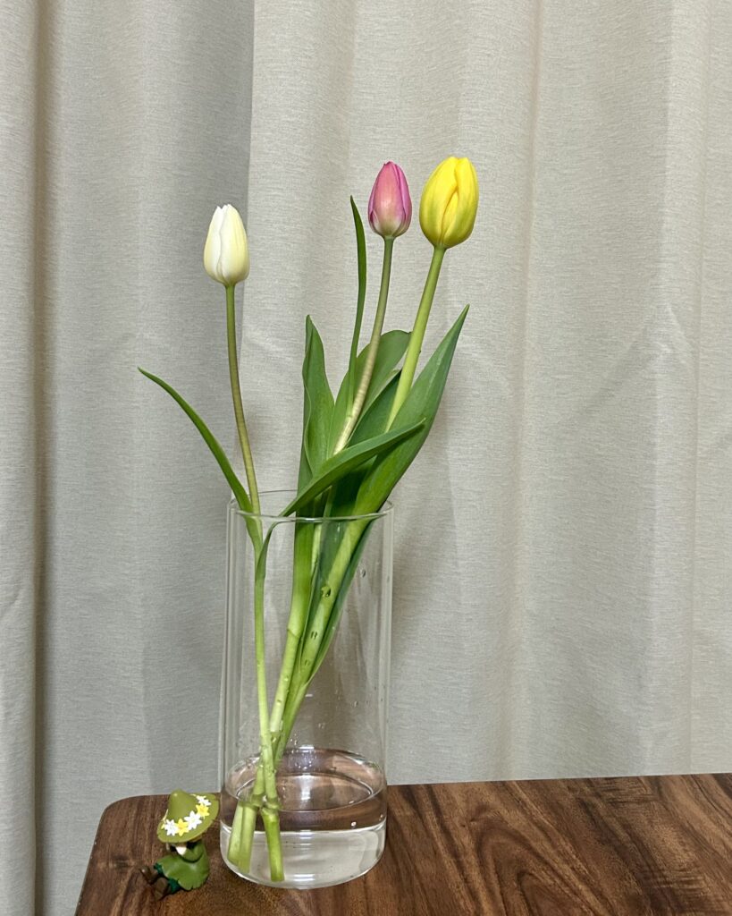 コバヤシフラワーショップ MARUSANcafe 小林生花店 下諏訪 花屋 カフェ 長野県 諏訪湖