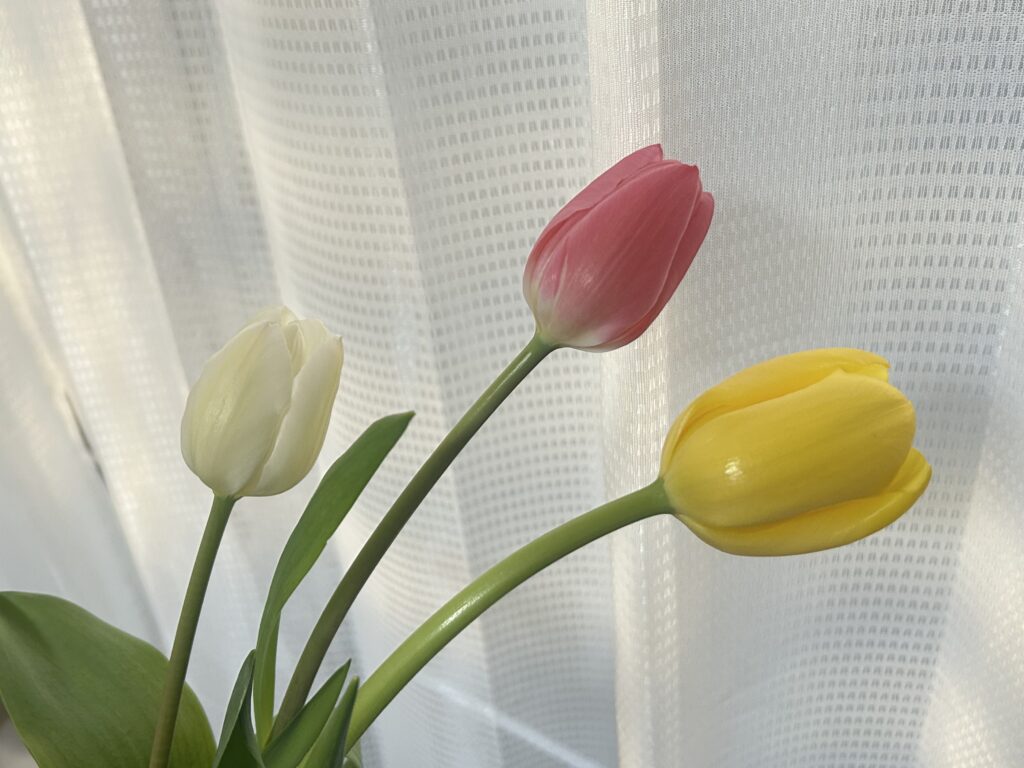 コバヤシフラワーショップ MARUSANcafe 小林生花店 下諏訪 花屋 カフェ 長野県 諏訪湖