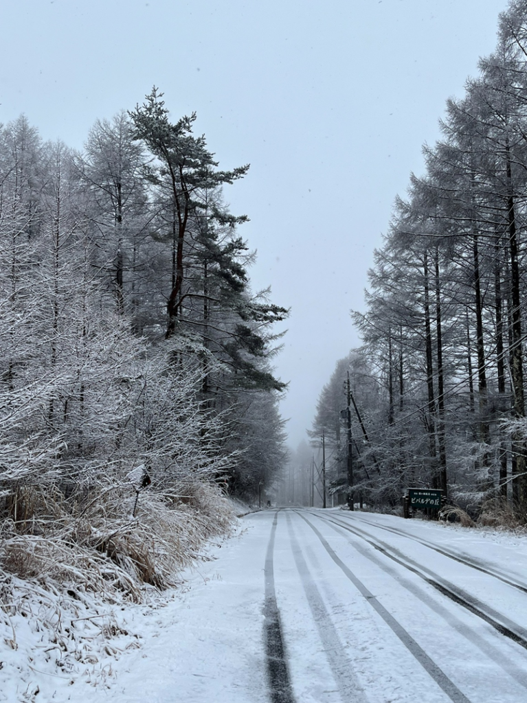 霧ケ峰、冬景色、諏訪湖、御神渡り、野うさぎ、きつね、富士山、八ヶ岳、北アルプス、南アルプス、中央アルプス、薙ぎ鎌神社、伊藤長七公園