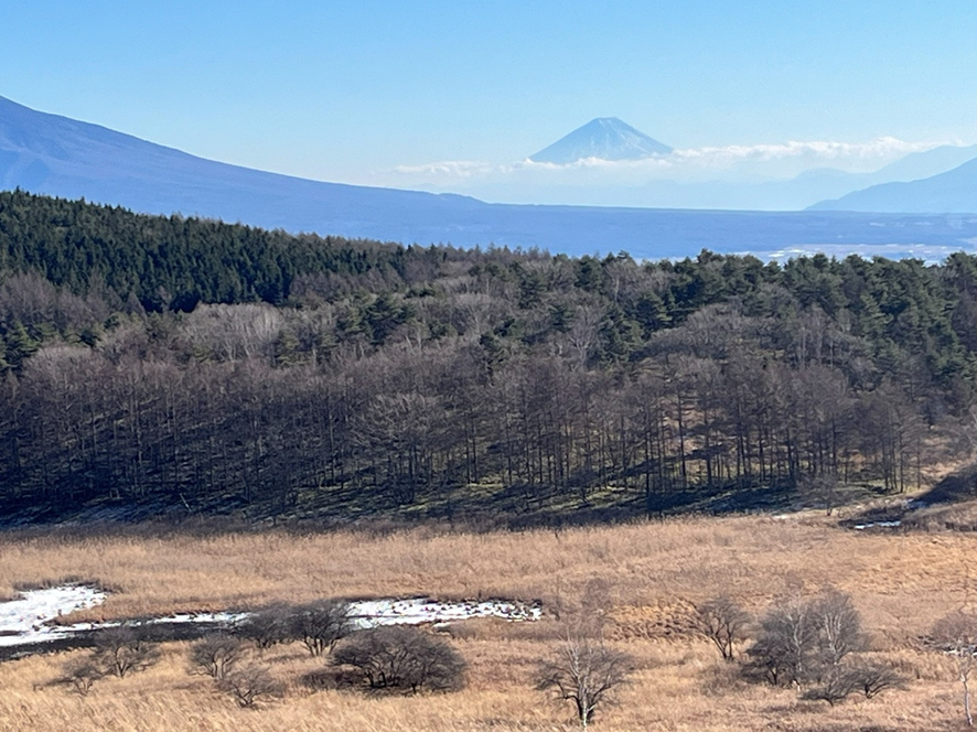 霧ケ峰、冬景色、諏訪湖、御神渡り、野うさぎ、きつね、富士山、八ヶ岳、北アルプス、南アルプス、中央アルプス、薙ぎ鎌神社、伊藤長七公園