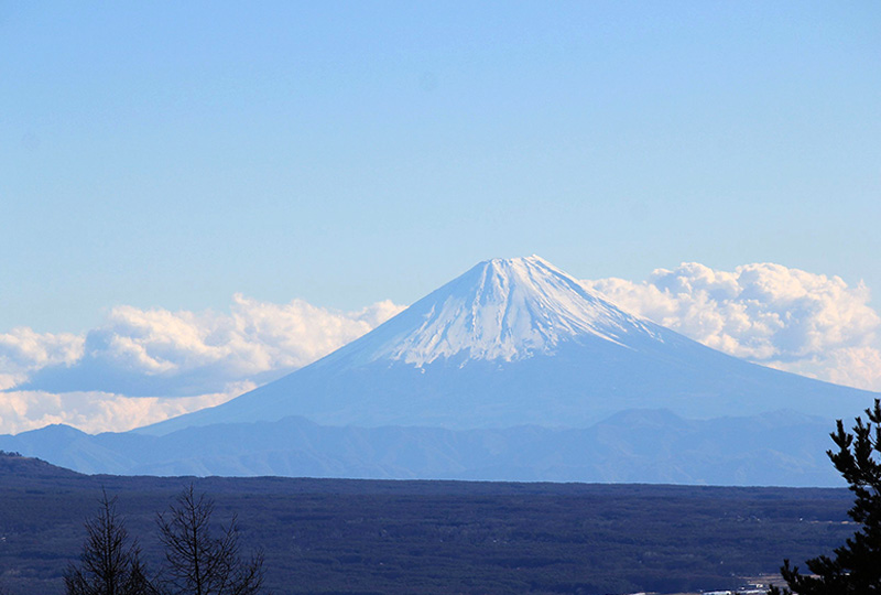 八ヶ岳・富士山の見える別荘地「ビバルデの丘」