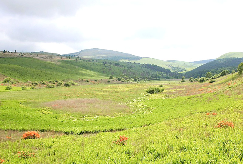 八ヶ岳・富士山の見える別荘地「ビバルデの丘」