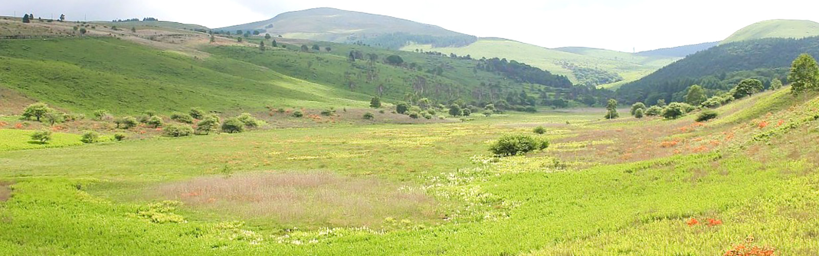 八ヶ岳・富士山の見える別荘地「ビバルデの丘」