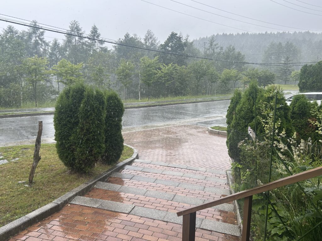 信州諏訪霧ヶ峰高原別荘地 霧ヶ峰 ビバルデの丘 長野県諏訪市 ビーナスライン 別荘 山 森 森林 自然 春 山野草 花 植物 湿原 夏の花 秋の花 天気 雨 スコール 山の天気