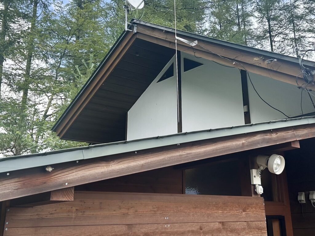 信州諏訪霧ヶ峰高原別荘地 霧ヶ峰 ビバルデの丘 長野県諏訪市 ビーナスライン 別荘 山 森 森林 自然 春 山野草 花 植物 湿原 夏の花 秋の花 ハチの巣 蜂 アシナガバチ 駆除