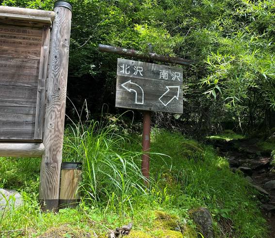 八ヶ岳、霧ケ峰、夏山、登山、赤岳、夏山登山、ブロッケン現象、赤岳展望荘、雲海、北アルプス、中央アルプス、南アルプス、富士山、高山植物、こまくさ、キャンプ、行者小屋