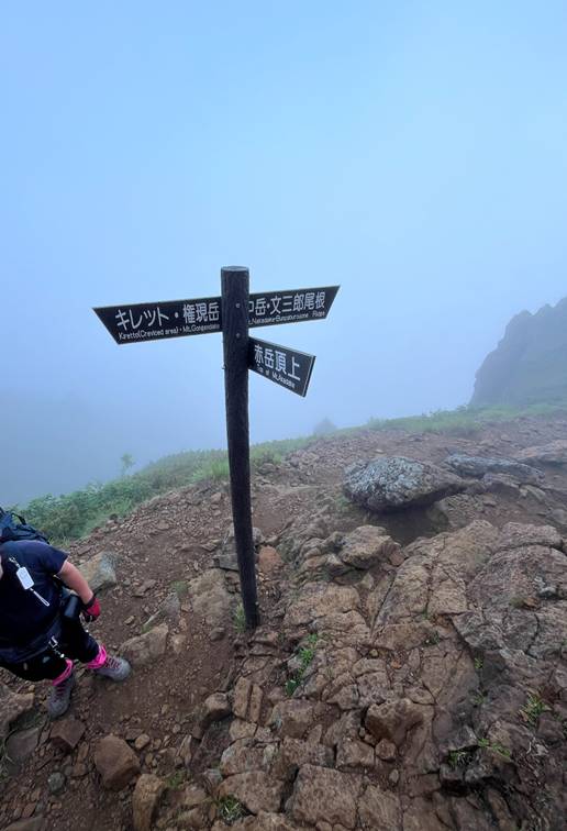 八ヶ岳、霧ケ峰、夏山、登山、赤岳、夏山登山、ブロッケン現象、赤岳展望荘、雲海、北アルプス、中央アルプス、南アルプス、富士山、高山植物、こまくさ、キャンプ、行者小屋