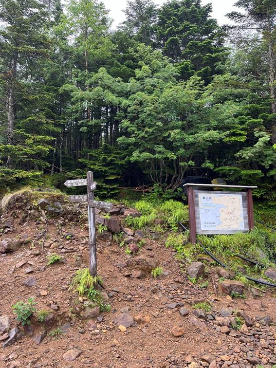 八ヶ岳、霧ケ峰、夏山、登山、赤岳、夏山登山、ブロッケン現象、赤岳展望荘、雲海、北アルプス、中央アルプス、南アルプス、富士山、高山植物、こまくさ、キャンプ、行者小屋