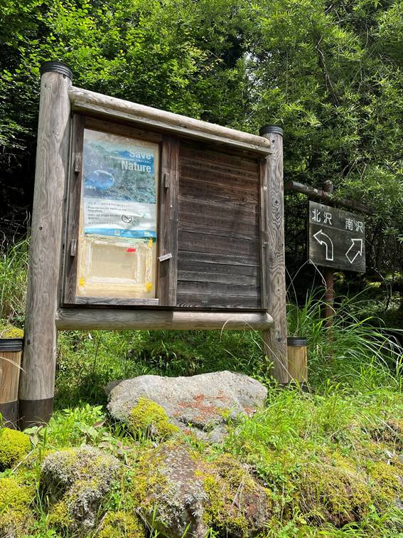 八ヶ岳、霧ケ峰、夏山、登山、赤岳、夏山登山、ブロッケン現象、赤岳展望荘、雲海、北アルプス、中央アルプス、南アルプス、富士山、高山植物、こまくさ、キャンプ、行者小屋