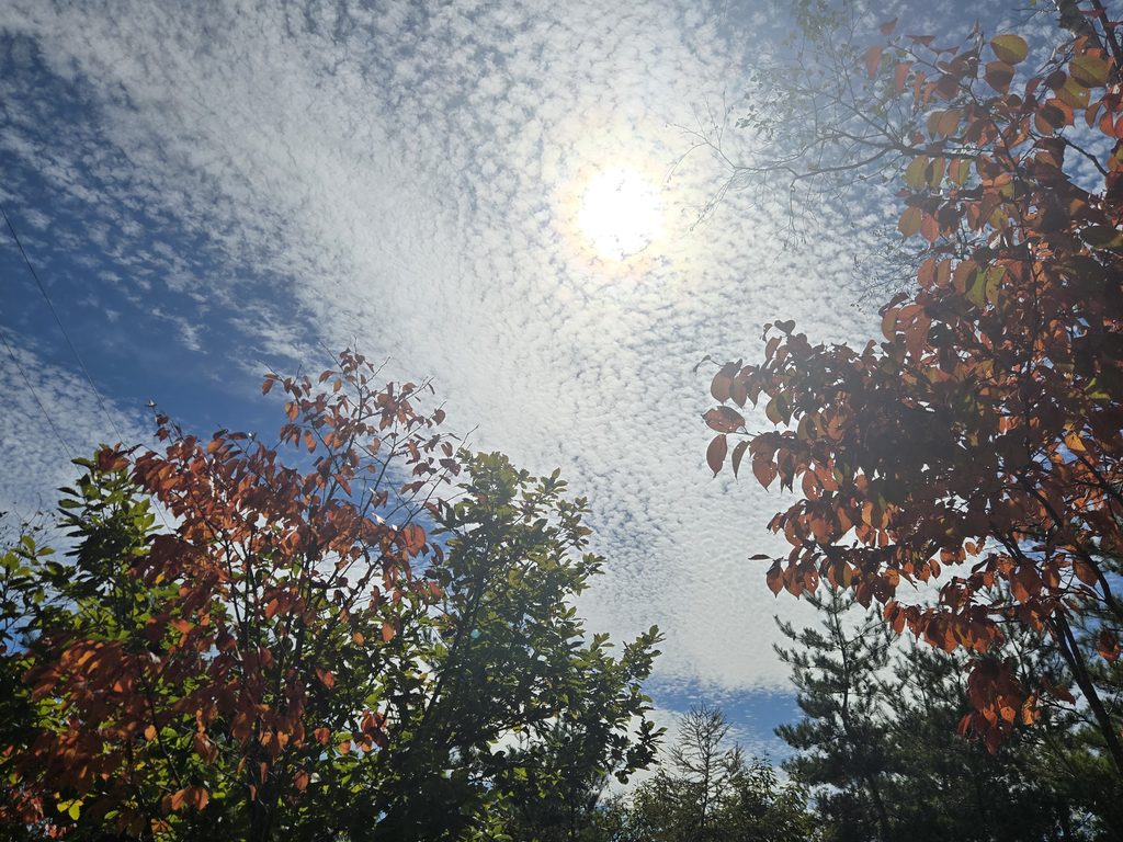 うろこ雲
山