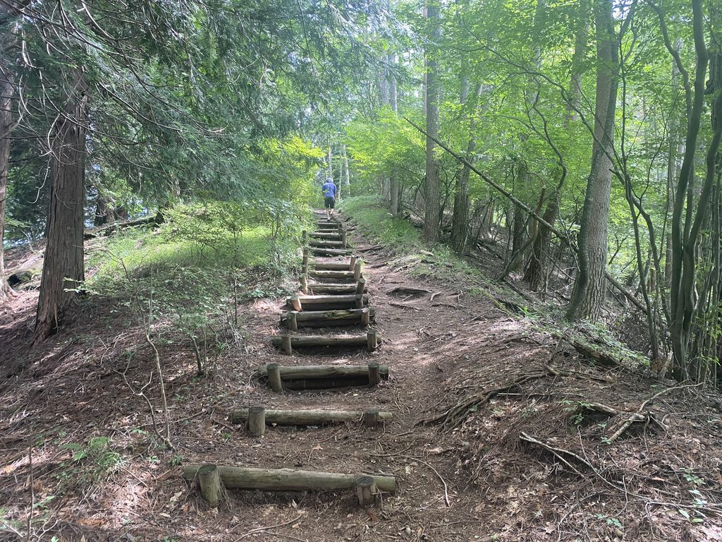 山の神社　八ヶ岳　富士山　中央アルプス　南アルプス　車山　蓼の海　大見山　展望台　ビバルデの丘　秋　紅葉スポット　アスレチック　レジャー　長野県　諏訪市