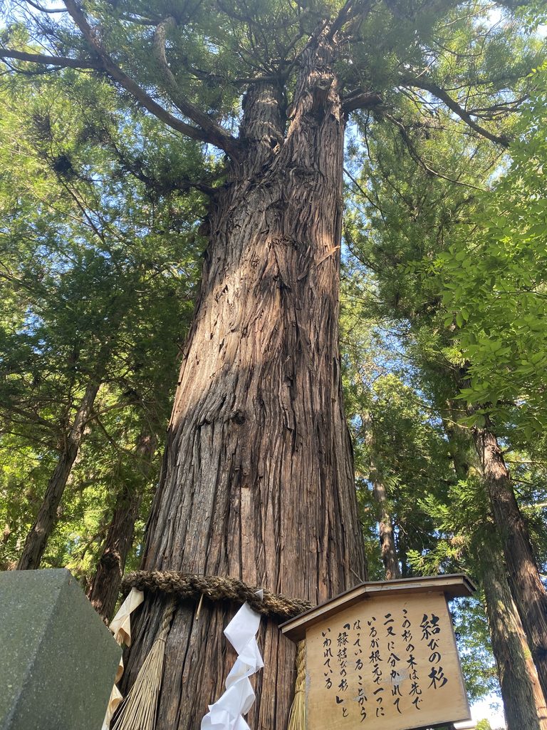 霧ヶ峰 神社 参拝 観光 薙鎌
スキー場 眺望 諏訪湖 絶景
山の神社 八ヶ岳 富士山 中央アルプス 南アルプス 車山 蓼の海 大見山 展望台 ビバルデの丘 秋 紅葉スポット アスレチック レジャー 長野県 下諏訪 万治の石仏 岡本太郎 新田次郎 諏訪大社 春宮 秋宮 いぼ石 杉 浮島 神楽殿