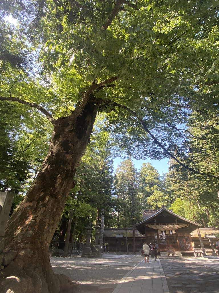 霧ヶ峰 神社 参拝 観光 薙鎌
スキー場 眺望 諏訪湖 絶景
山の神社 八ヶ岳 富士山 中央アルプス 南アルプス 車山 蓼の海 大見山 展望台 ビバルデの丘 秋 紅葉スポット アスレチック レジャー 長野県 下諏訪 万治の石仏 岡本太郎 新田次郎 諏訪大社 春宮 秋宮 いぼ石 杉 浮島 神楽殿