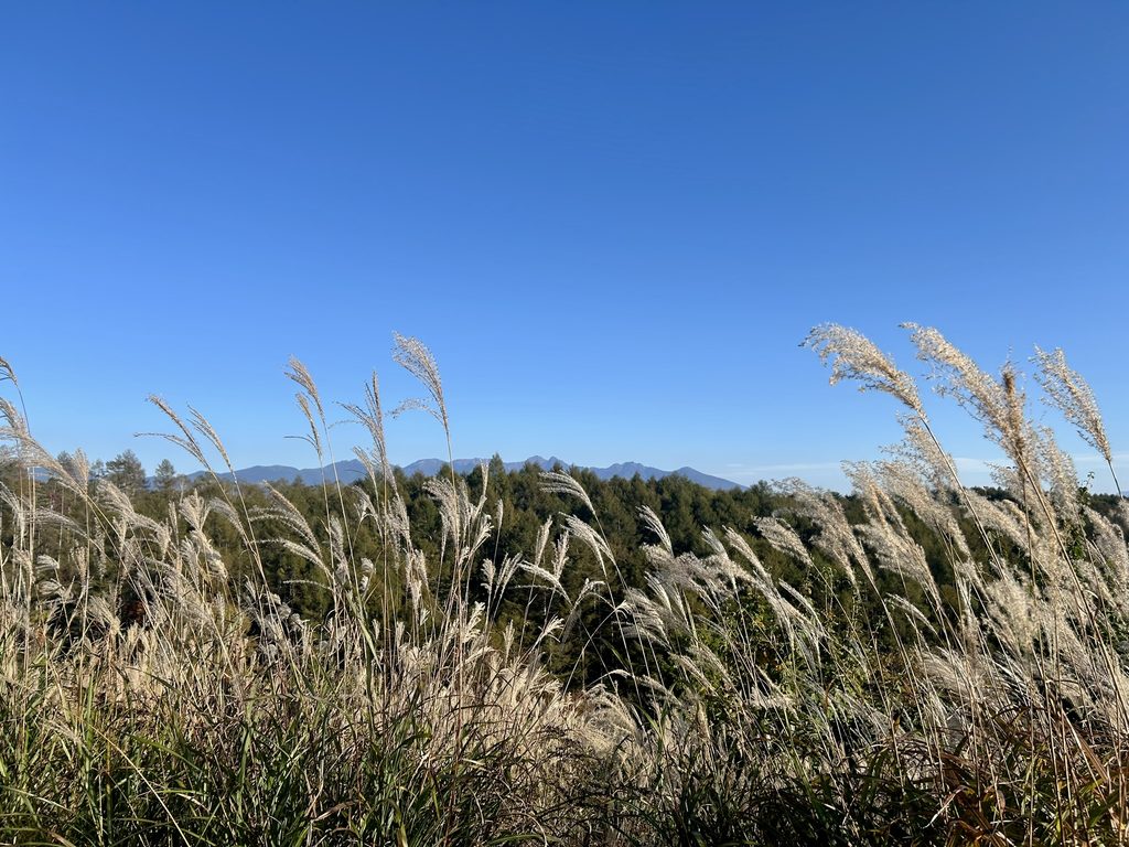 霧ヶ峰　紅葉のはじまり