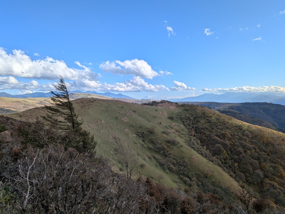 トレランコース
さくっと登れるコース
霧ヶ峰　鷲ヶ峰
景色のよいコース